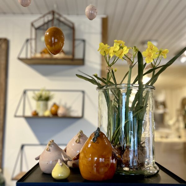 Høns Lyserød - Image 4