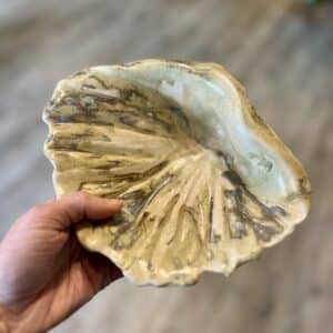 Muslingeskål Beige/Brun